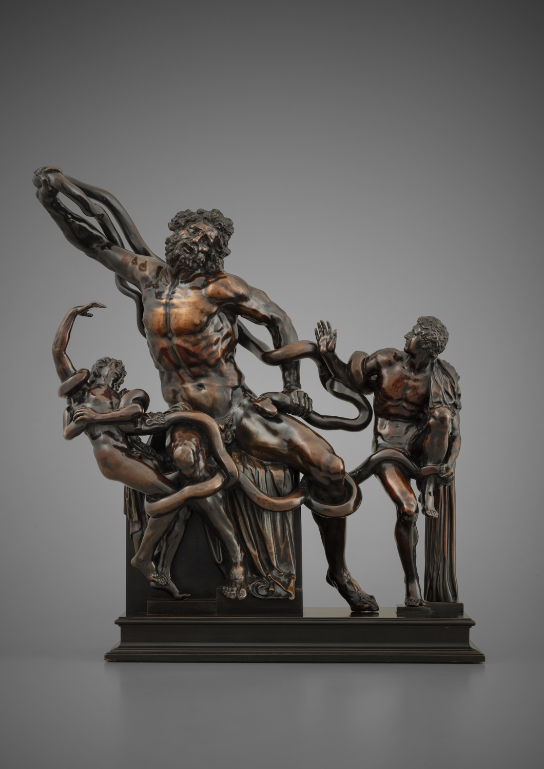 Laocoön in Patinated Bronze, after the Antique - Galerie Kugel