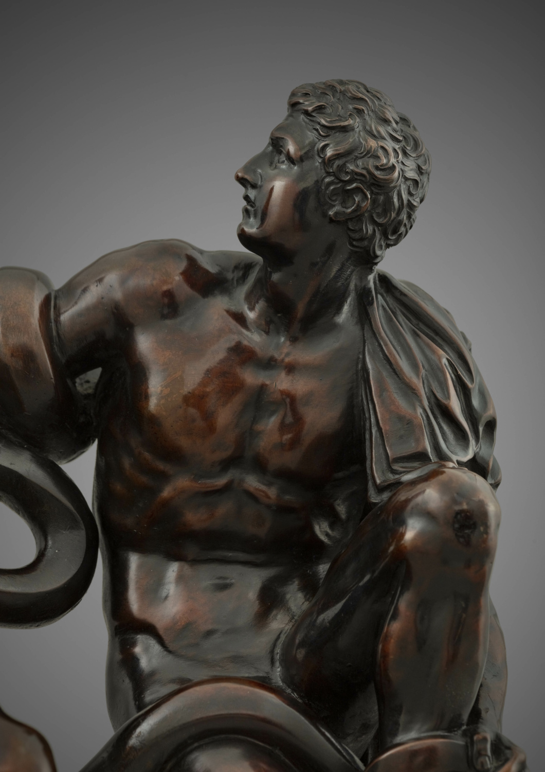 Laocoön in Patinated Bronze, after the Antique - Galerie Kugel